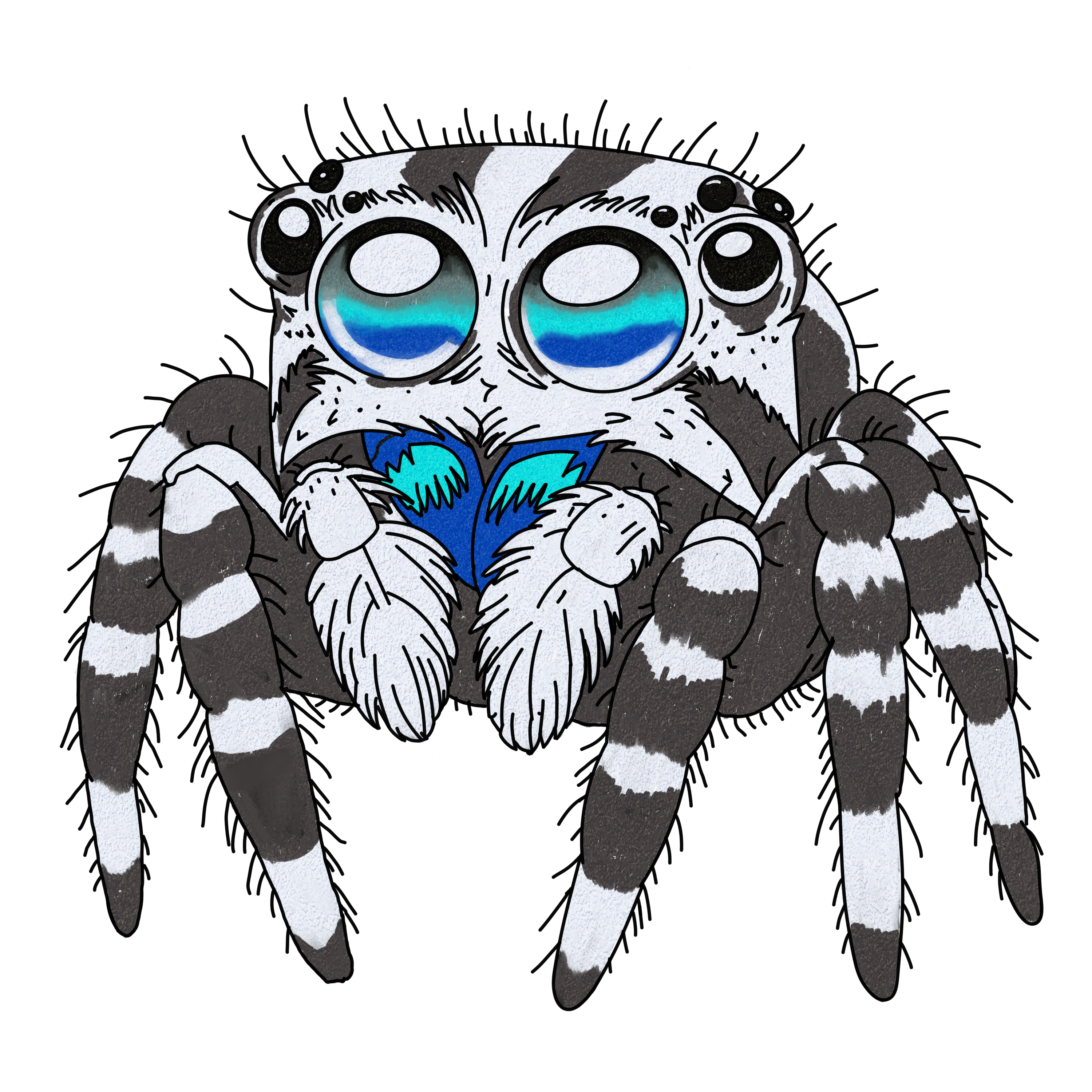 Spinne Mono