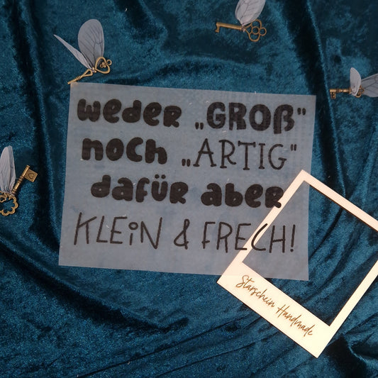 Bügelbild Klein und Frech