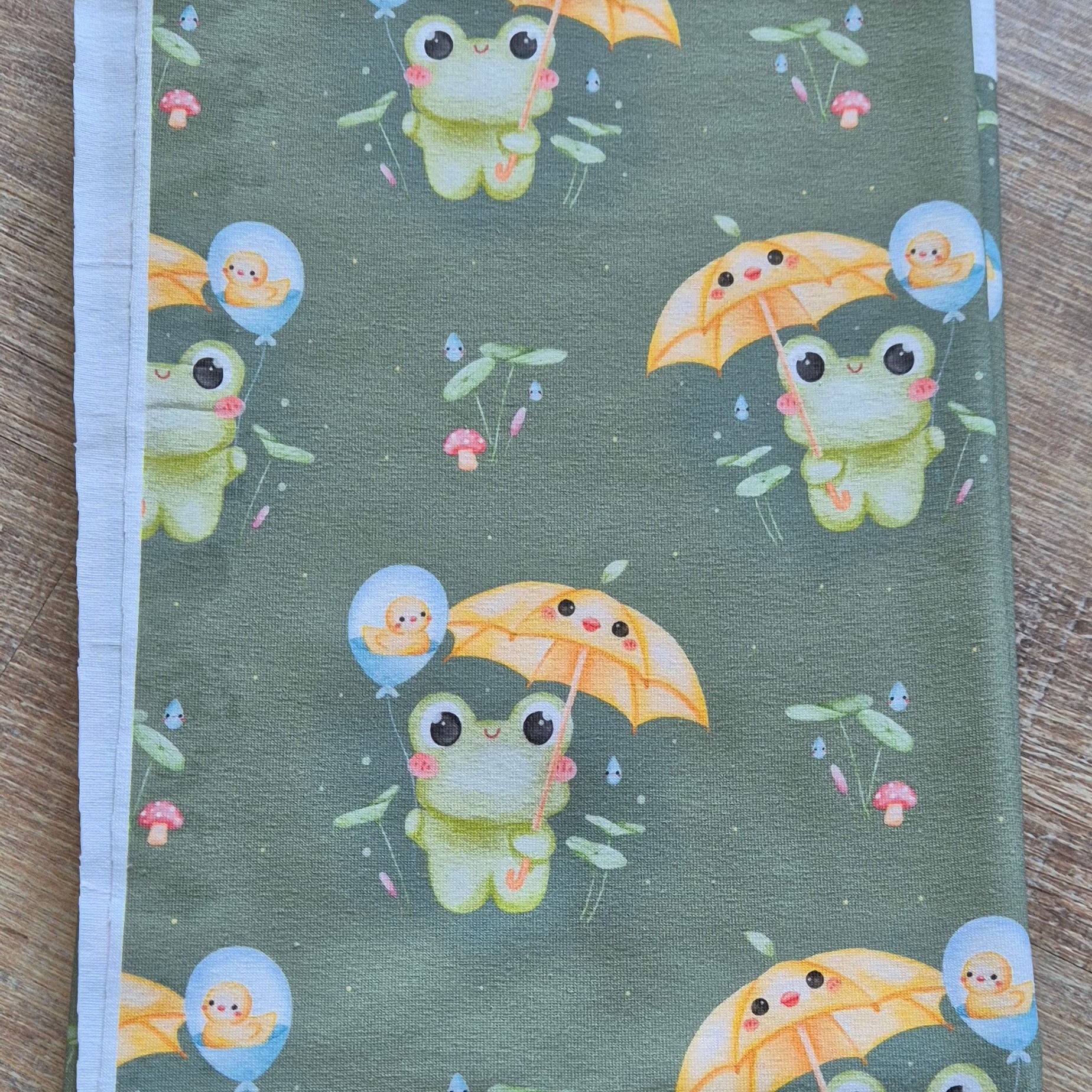 Regen Frosch