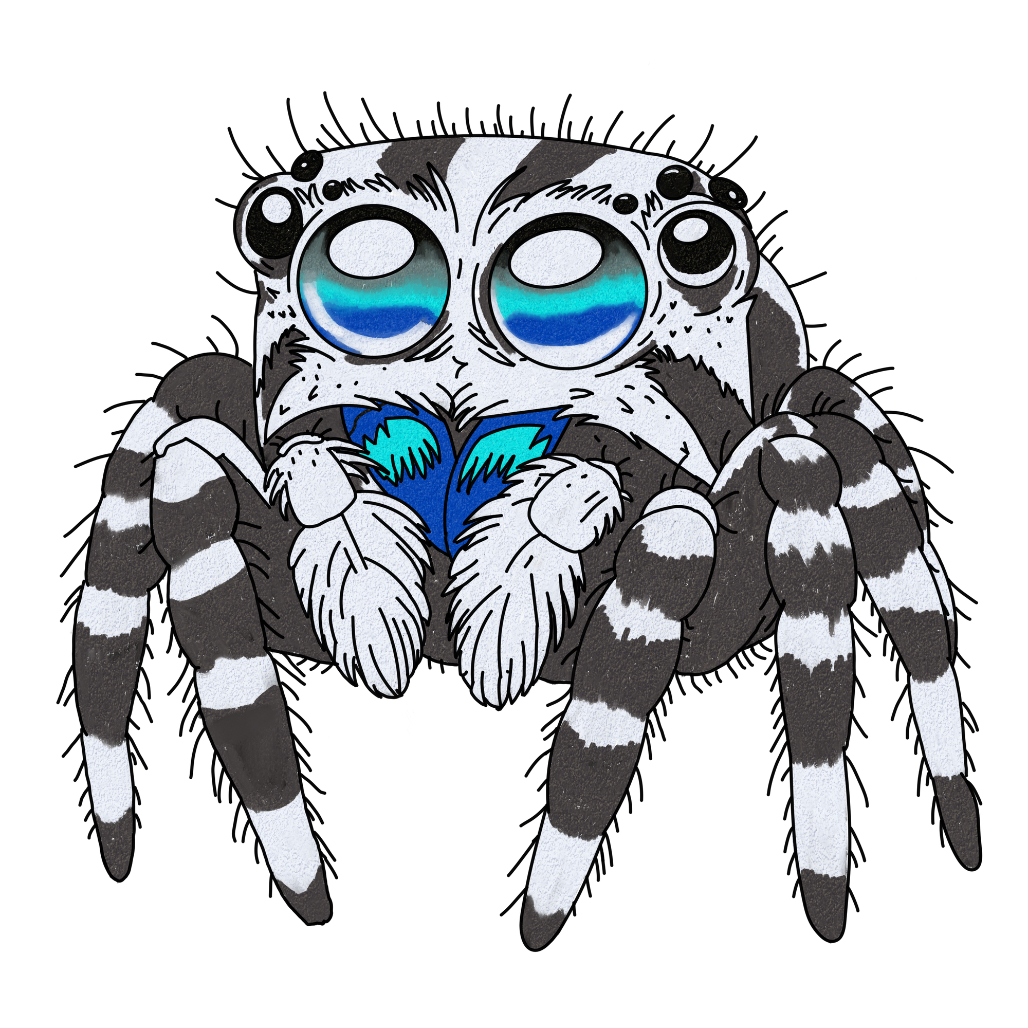 Spinne Mono